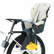 bicycle with kid carrier